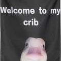 Welcome to my crib duck flag